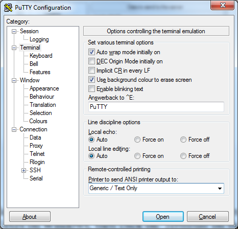 Terminal ANSII printer dialog